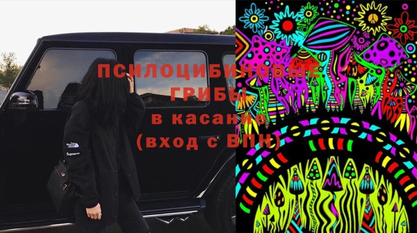 дурь Покачи