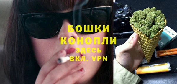 дурь Покачи
