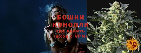 молекула духа Покровск