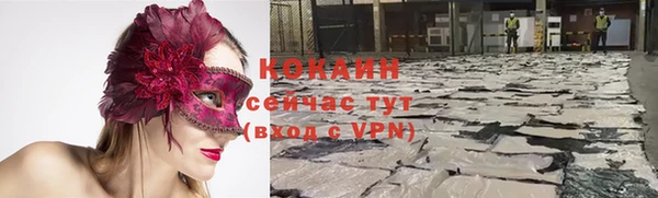 молекула духа Покровск