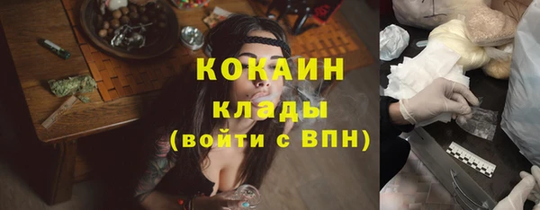 молекула духа Покровск