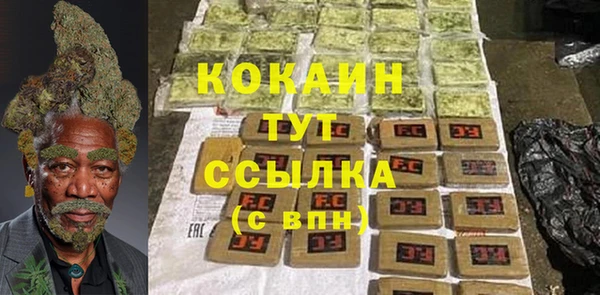 молекула духа Покровск