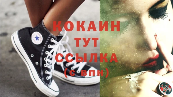 дурь Покачи