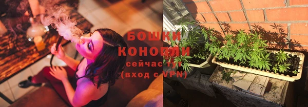 молекула духа Покровск