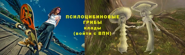 дурь Покачи