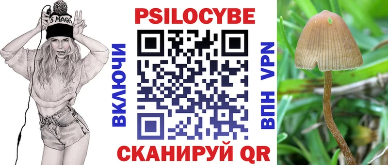 Галлюциногенные грибы прущие грибы Байкальск