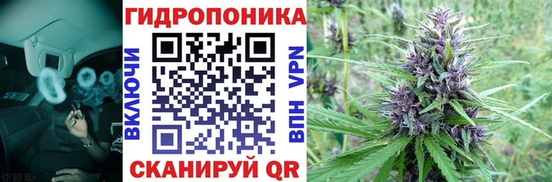 Канабис MAZAR  Байкальск 